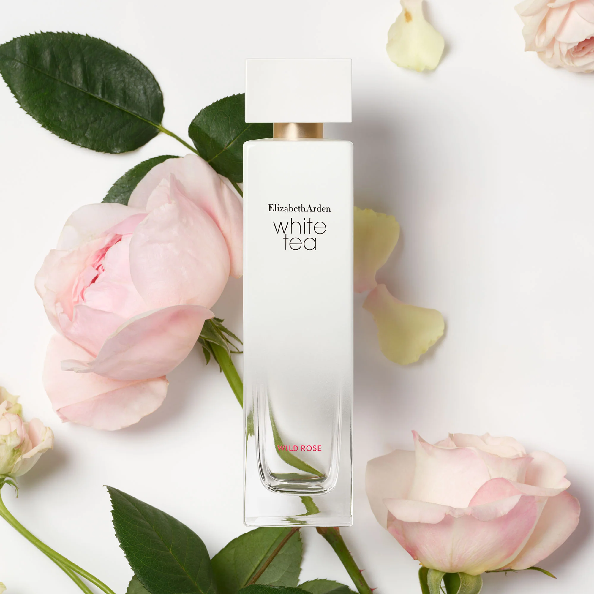 White Tea Wild Rose Eau de Toilette Vaporisateur - Image 4