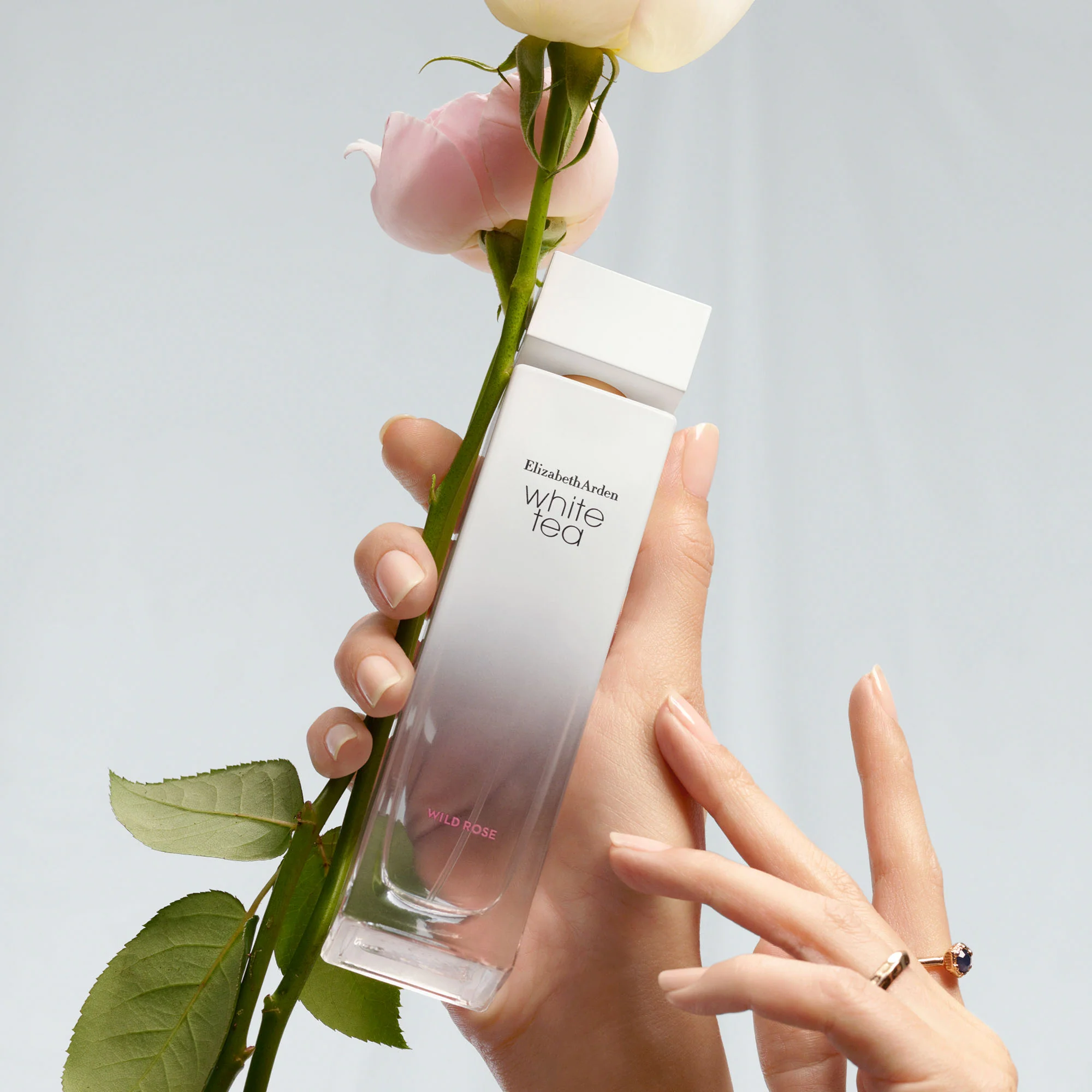 White Tea Wild Rose Eau de Toilette Vaporisateur - Image 5
