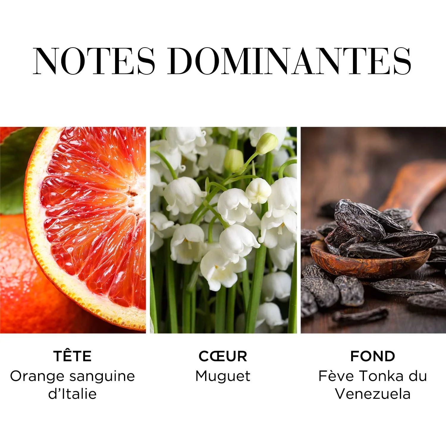 White Tea Eau Fraîche Eau de Toilette Vaporisateur - Image 3
