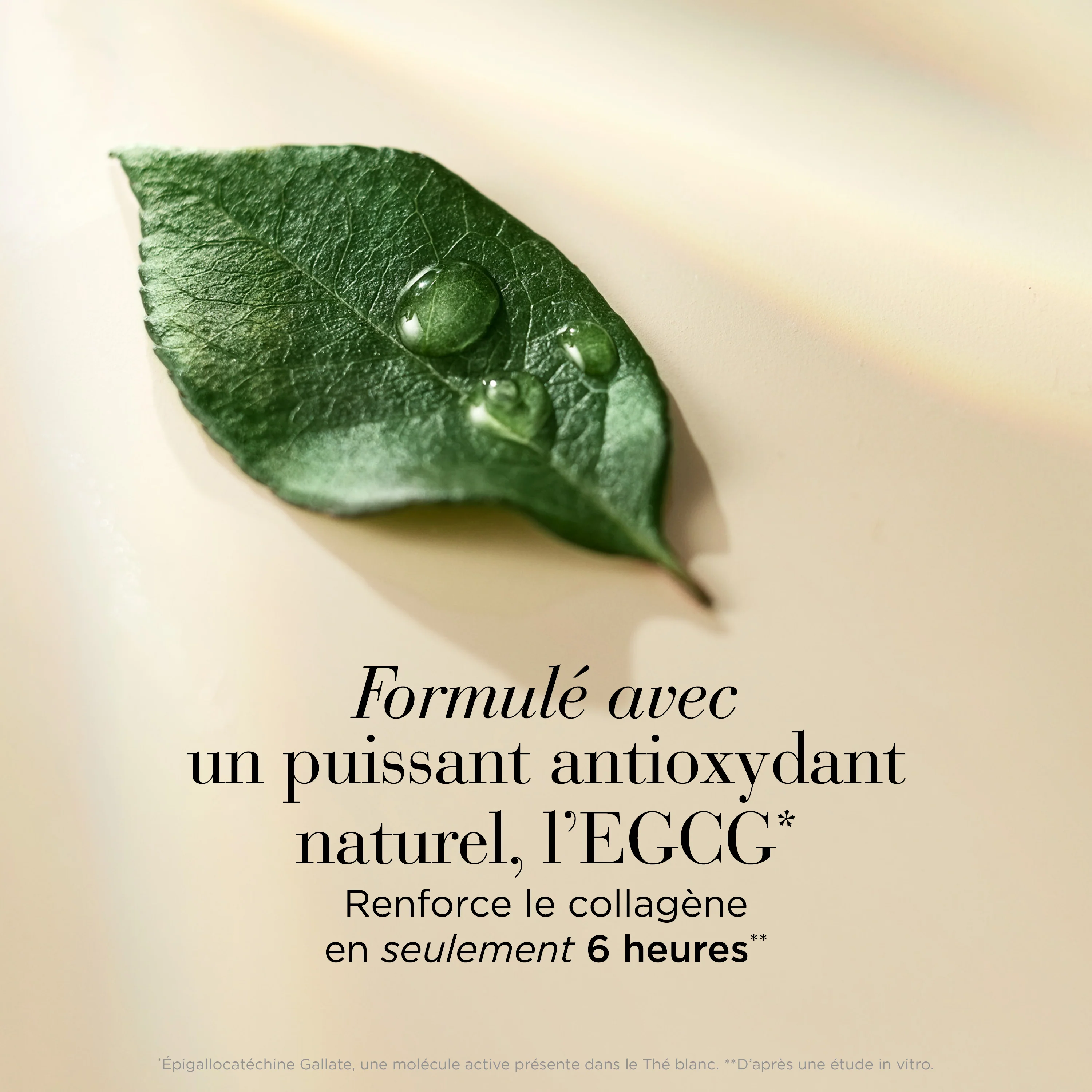 White Tea Skin Solutions Serum Huile Biphasé Régénérant - Image 5